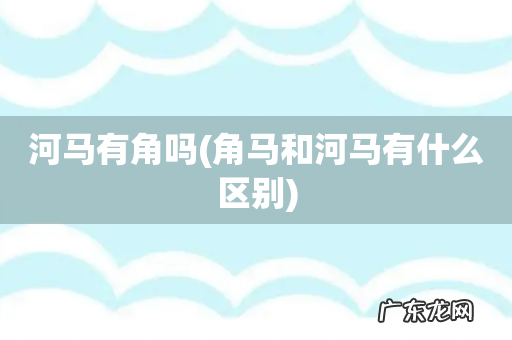 角马和河马有什么区别 河马有角吗