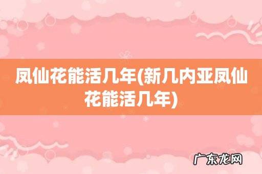 新几内亚凤仙花能活几年 凤仙花能活几年