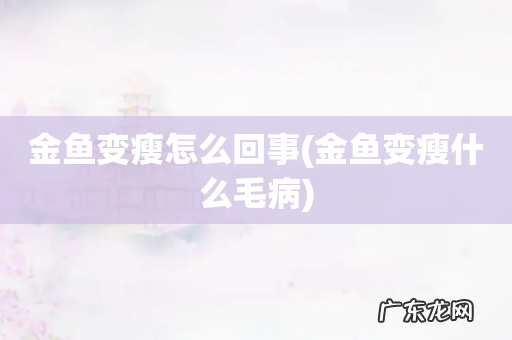 金鱼变瘦什么毛病 金鱼变瘦怎么回事