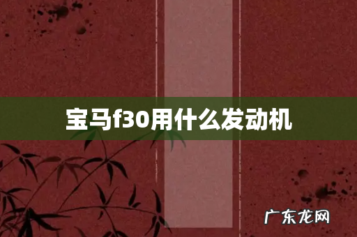 宝马f30用什么发动机