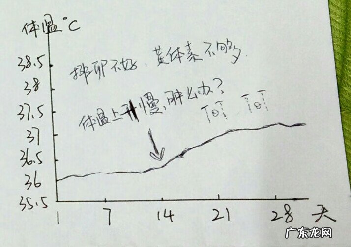 体温与排卵的关系图 排卵温度表