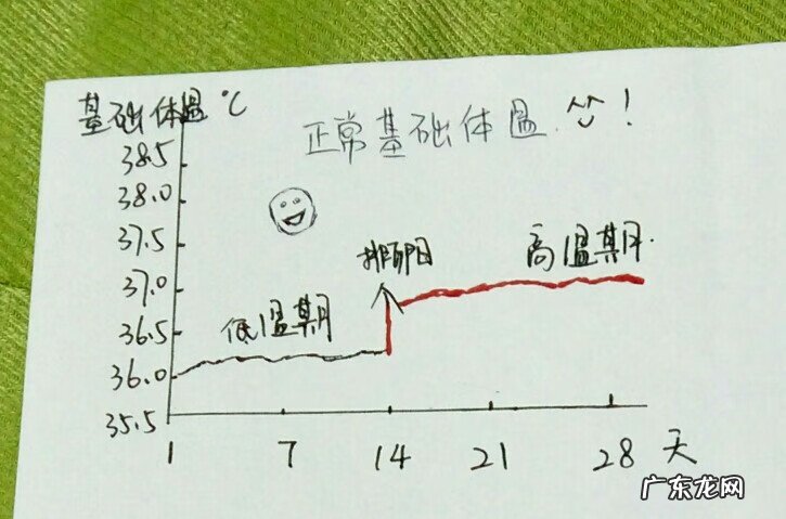 体温与排卵的关系图 排卵温度表
