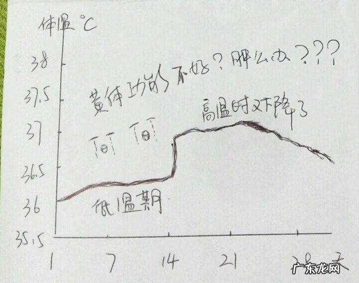 体温与排卵的关系图 排卵温度表