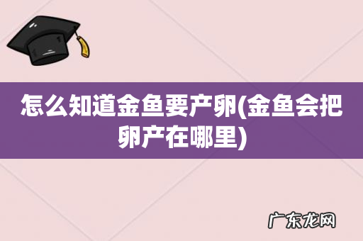 金鱼会把卵产在哪里 怎么知道金鱼要产卵
