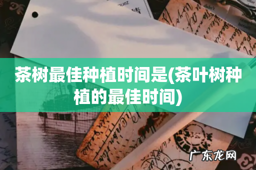 茶叶树种植的最佳时间 茶树最佳种植时间是