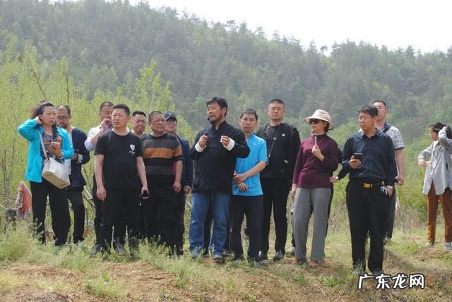 宋朝著名风水大师 风水大师宋国元