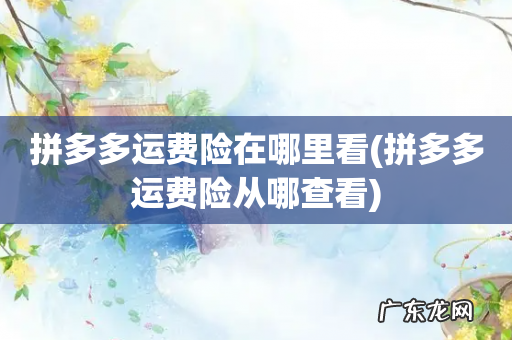 拼多多运费险从哪查看 拼多多运费险在哪里看