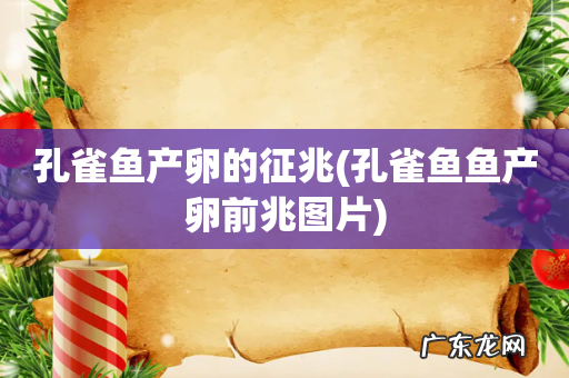 孔雀鱼鱼产卵前兆图片 孔雀鱼产卵的征兆