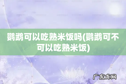 鹦鹉可不可以吃熟米饭 鹦鹉可以吃熟米饭吗