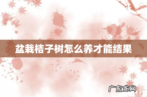 盆栽桔子树怎么养才能结果