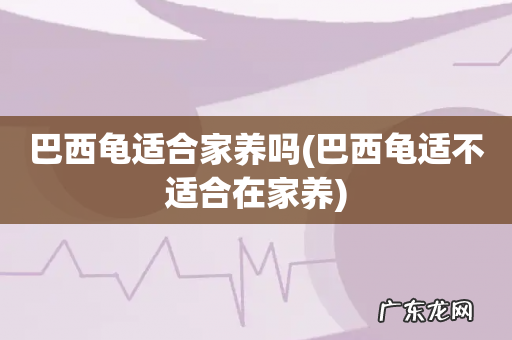 巴西龟适不适合在家养 巴西龟适合家养吗