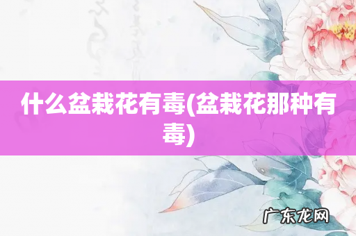 盆栽花那种有毒 什么盆栽花有毒