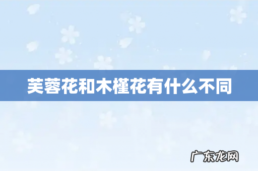 芙蓉花和木槿花有什么不同