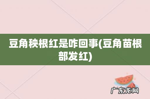 豆角苗根部发红 豆角秧根红是咋回事