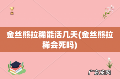 金丝熊拉稀会死吗 金丝熊拉稀能活几天