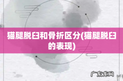 猫腿脱臼的表现 猫腿脱臼和骨折区分