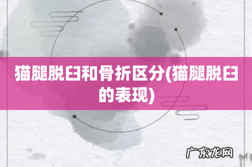 猫腿脱臼的表现 猫腿脱臼和骨折区分