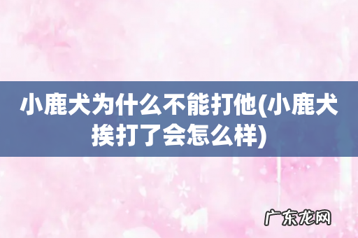 小鹿犬挨打了会怎么样 小鹿犬为什么不能打他