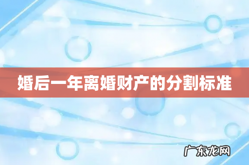 婚后一年离婚财产的分割标准