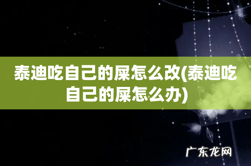 泰迪吃自己的屎怎么办 泰迪吃自己的屎怎么改