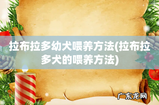 拉布拉多犬的喂养方法 拉布拉多幼犬喂养方法