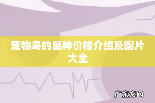 宠物鸟的品种价格介绍及图片大全