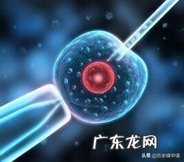 男生变性后可以生小孩吗 变性后能生孩子吗图