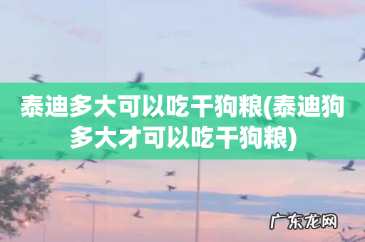 泰迪狗多大才可以吃干狗粮 泰迪多大可以吃干狗粮