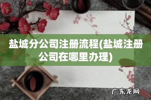 盐城注册公司在哪里办理 盐城分公司注册流程