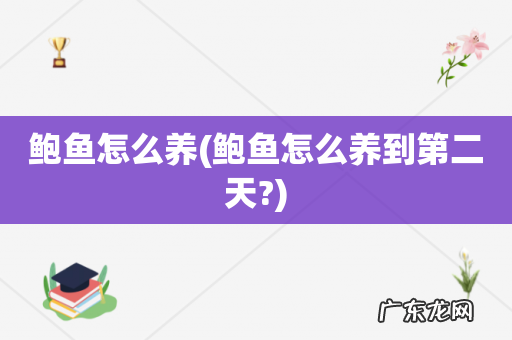 鲍鱼怎么养到第二天? 鲍鱼怎么养