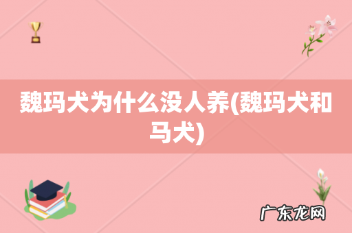魏玛犬和马犬 魏玛犬为什么没人养