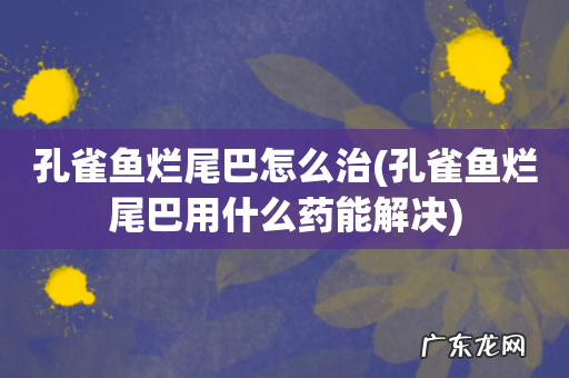 孔雀鱼烂尾巴用什么药能解决 孔雀鱼烂尾巴怎么治