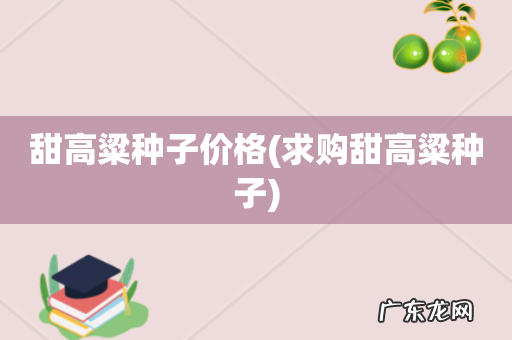 求购甜高粱种子 甜高粱种子价格