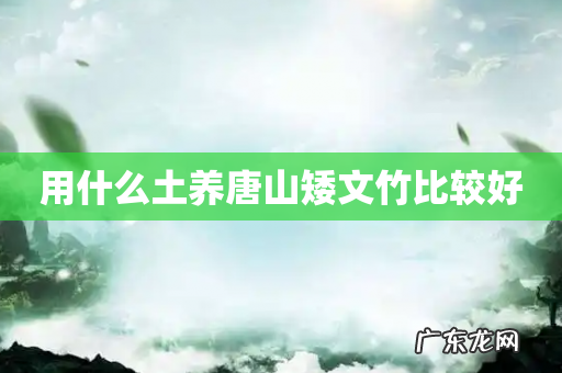 用什么土养唐山矮文竹比较好