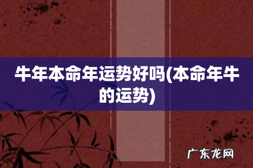 本命年牛的运势 牛年本命年运势好吗