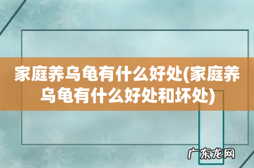 家庭养乌龟有什么好处和坏处 家庭养乌龟有什么好处