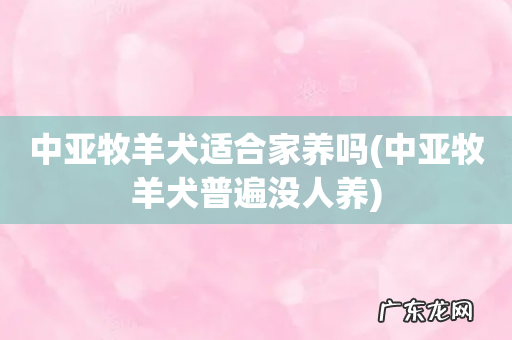 中亚牧羊犬普遍没人养 中亚牧羊犬适合家养吗