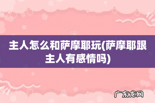 萨摩耶跟主人有感情吗 主人怎么和萨摩耶玩