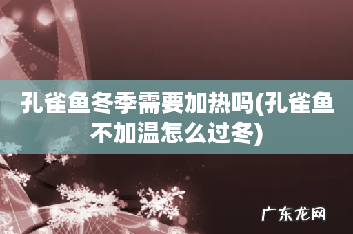孔雀鱼不加温怎么过冬 孔雀鱼冬季需要加热吗