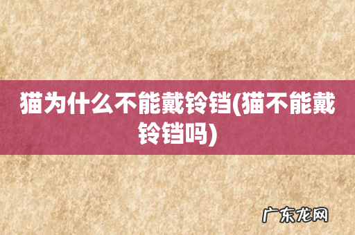 猫不能戴铃铛吗 猫为什么不能戴铃铛