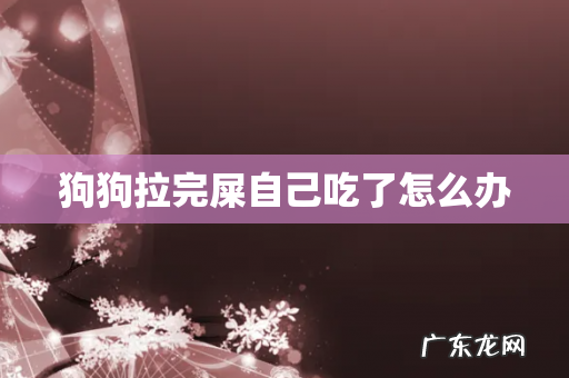 狗狗拉完屎自己吃了怎么办