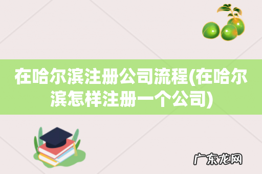在哈尔滨怎样注册一个公司 在哈尔滨注册公司流程