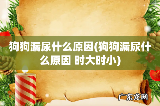 狗狗漏尿什么原因 时大时小 狗狗漏尿什么原因