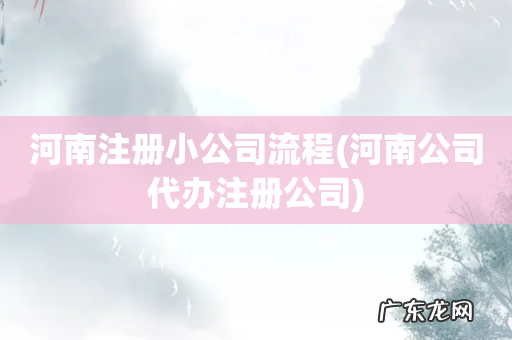 河南公司代办注册公司 河南注册小公司流程