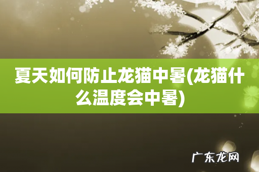 龙猫什么温度会中暑 夏天如何防止龙猫中暑