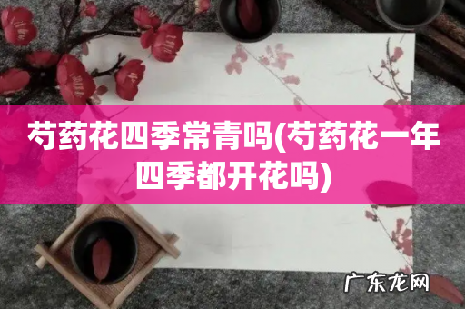 芍药花一年四季都开花吗 芍药花四季常青吗