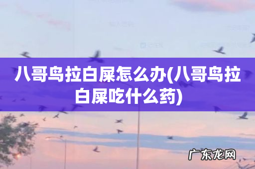 八哥鸟拉白屎吃什么药 八哥鸟拉白屎怎么办