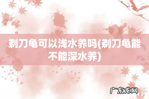 剃刀龟能不能深水养 剃刀龟可以浅水养吗