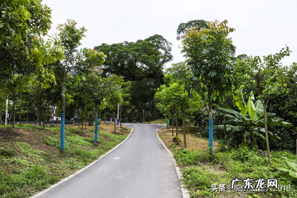 江西杨公风水村 杨公阳山小江风水记载