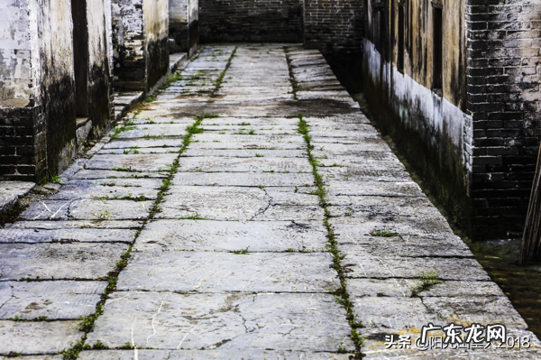 江西杨公风水村 杨公阳山小江风水记载